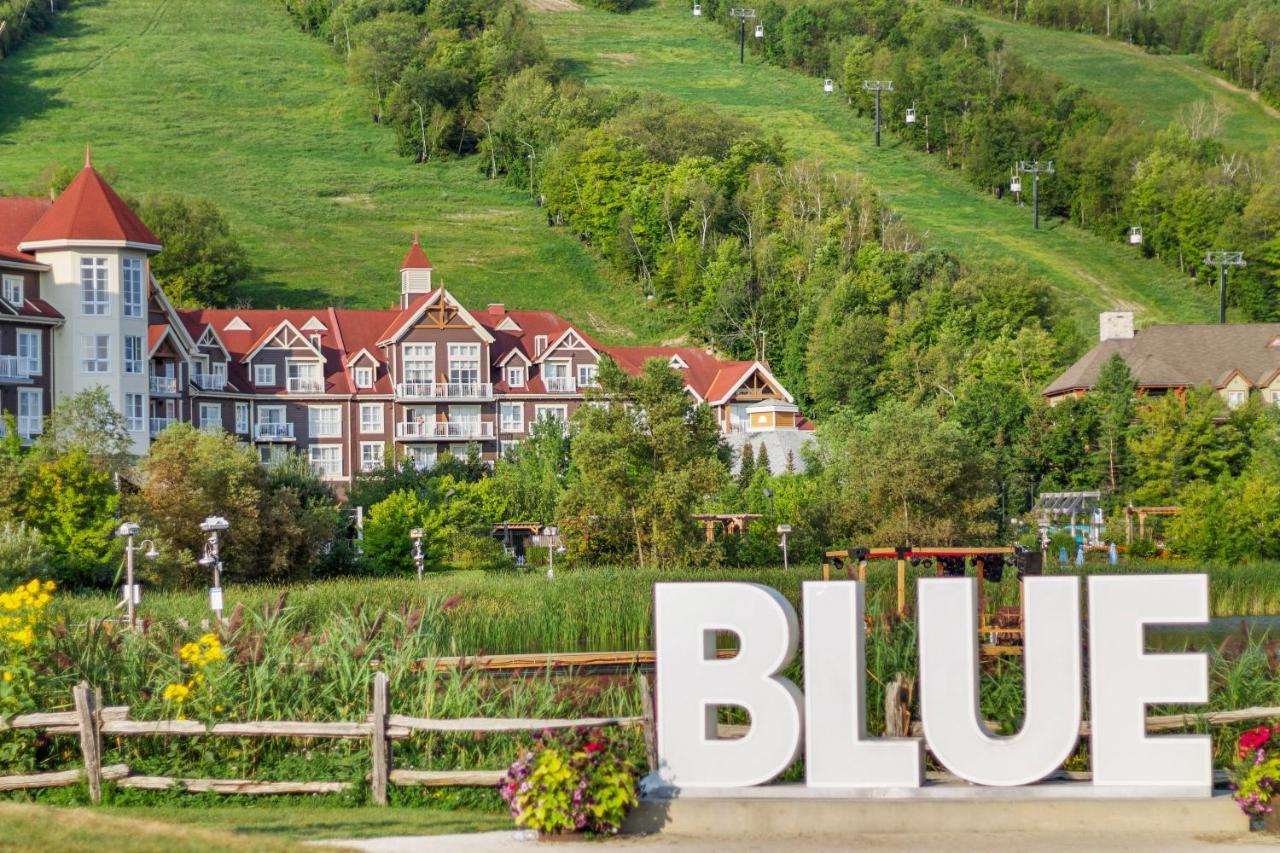 211 Chateau Ridge Blue Mountains Eksteriør bilde